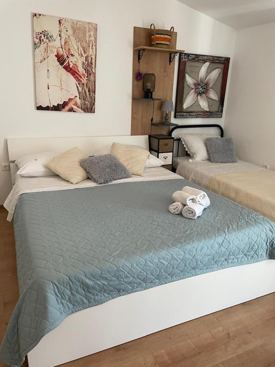 Apartman Suzana Sindija Bibinje Buitenkant foto