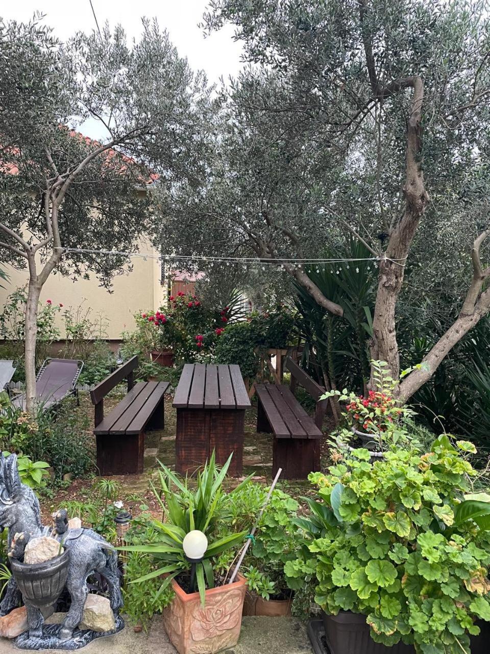 Apartman Suzana Sindija Bibinje Buitenkant foto